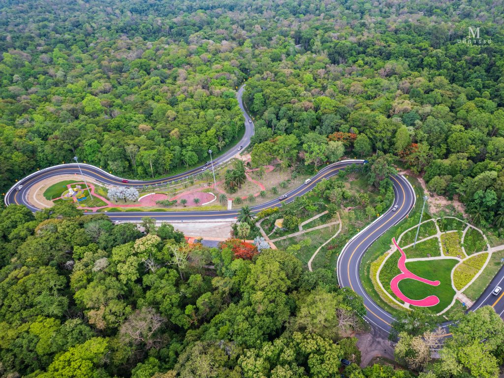 เปิดวาร์ป!! “ภูพาน” ป่าเขียวกลางอีสาน เที่ยวได้ทั้งปี